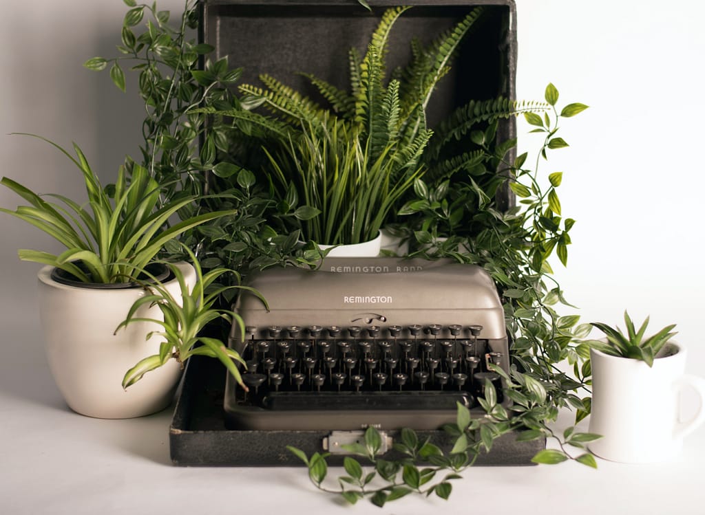 Schreibmaschine umgeben von Pflanzen