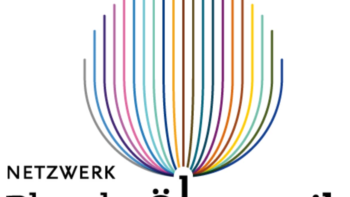 Logo des Netzwerks plurale Ökonomik. Eine Kugel aus bunten Streifen geht aus dem Schriftzug hervor.